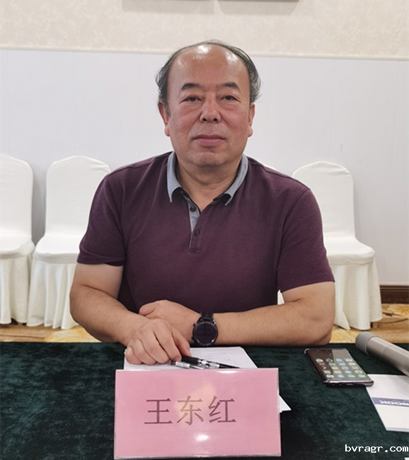 王东红_副本.jpg