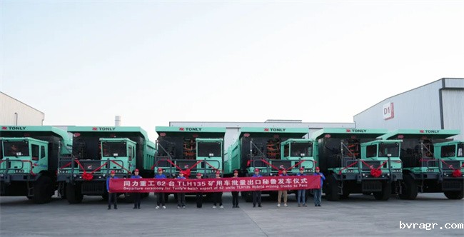 1735613499229059549.jpg 1.jpg