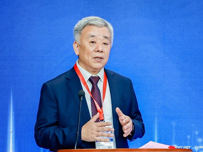 1760318092505047360.jpg 图片3.jpg